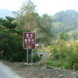 周湖村 周湖村