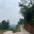 天路(中國四川省自貢市富順縣福善鎮周安村境域內的一條道路) 天路(中國四川省自貢市富順縣福善鎮周安村境域內的一條道路)