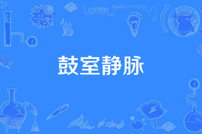 鼓室靜脈 鼓室靜脈