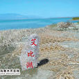 鹽塵暴 鹽塵暴