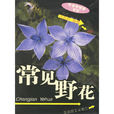 常見野花 常見野花