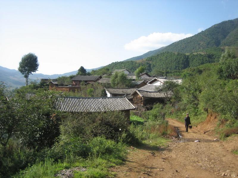 木耳坪村 木耳坪村