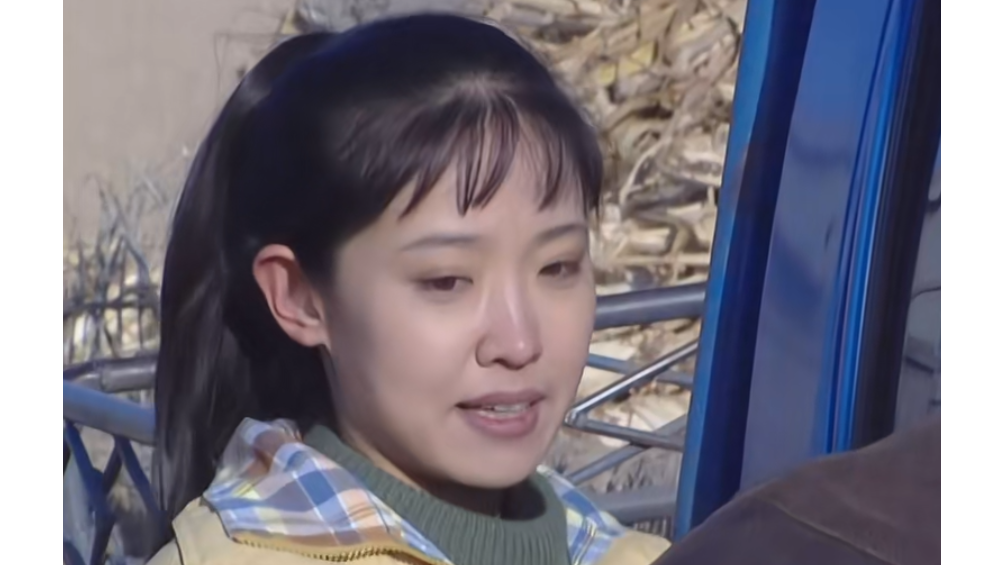 二鳳(農村題材劇《莊稼院裡的年輕人》中的角色) 二鳳(農村題材劇《莊稼院裡的年輕人》中的角色)