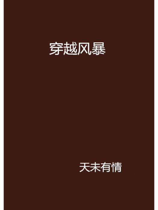 穿越風暴(天未有情創作的網路小說) 穿越風暴(天未有情創作的網路小說)