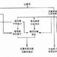 糖原異生 糖原異生