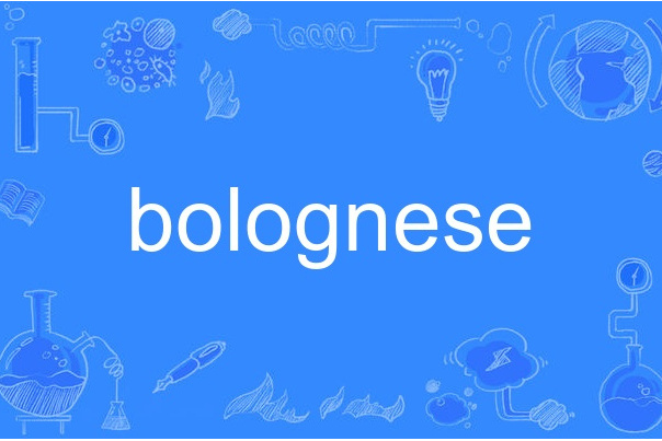 bolognese bolognese