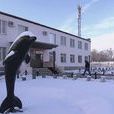 俄羅斯黑海豚監獄