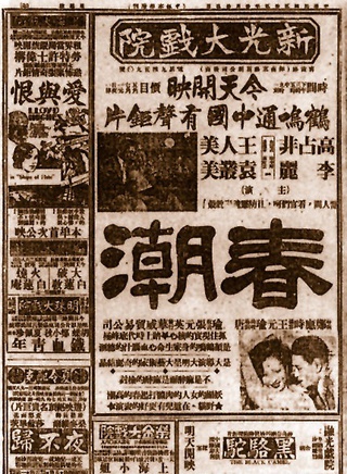 王人美 王人美