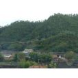 苴力鋪村 苴力鋪村