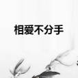 相愛不分手 相愛不分手