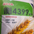 衡4399 衡4399