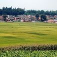 青球村 青球村
