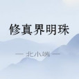 修真界明珠 修真界明珠