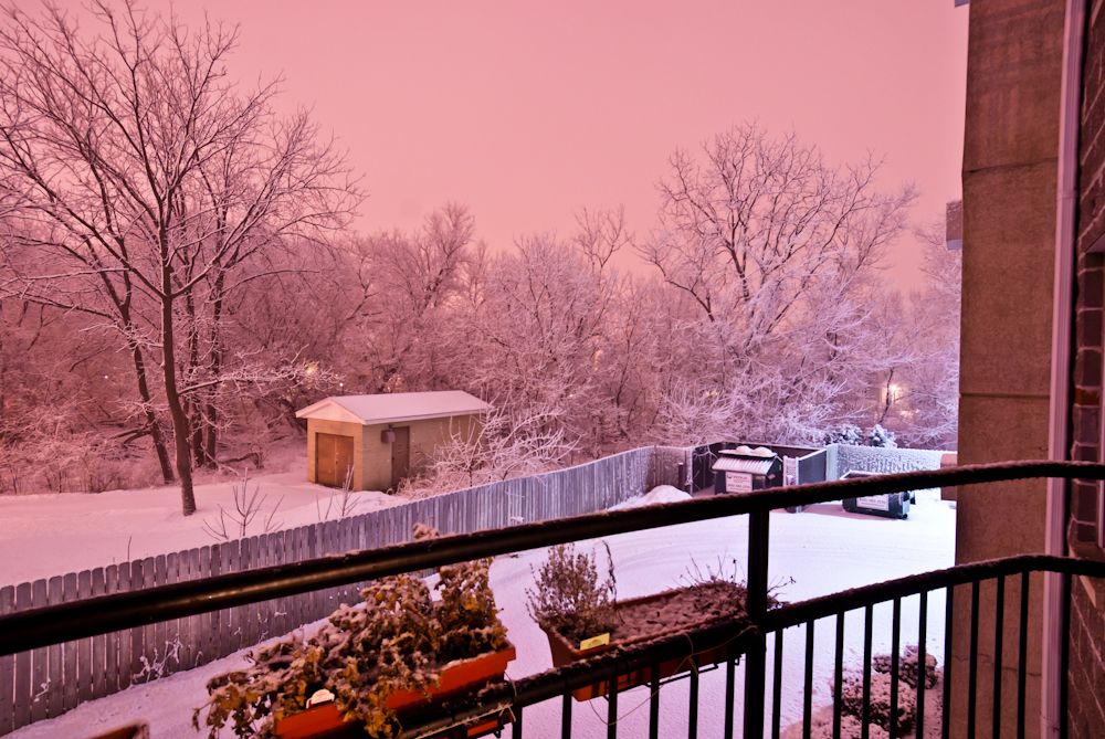 雪霞天 雪霞天