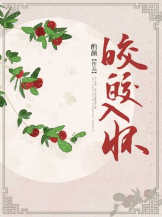 皎皎入懷
