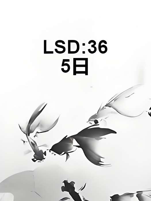 LSD:365日 LSD:365日