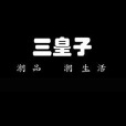 三皇子 三皇子