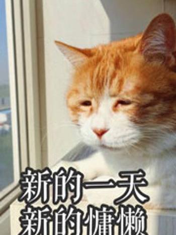 喵的末日 喵的末日