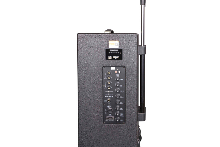 聲威AV-608 聲威AV-608