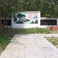 許寨村(安徽省界首市陶廟鎮下轄村) 許寨村(安徽省界首市陶廟鎮下轄村)