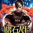 賭石人生(暗夜文學網小說) 賭石人生(暗夜文學網小說)