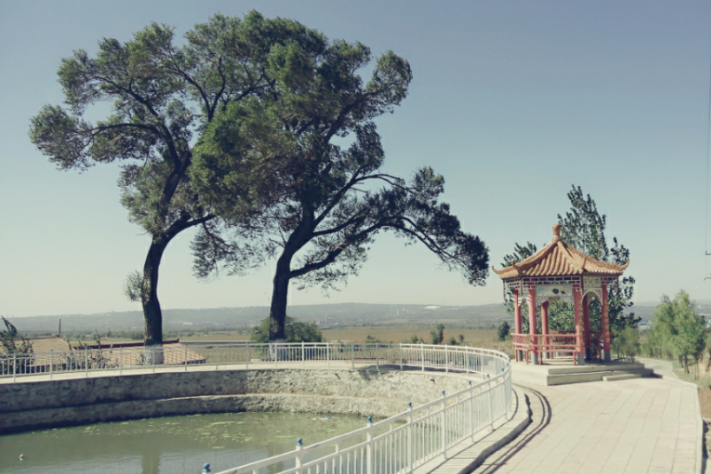 周武村
