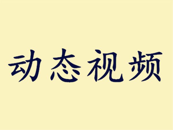 動態視頻 動態視頻