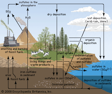 生物地球化學循環