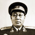李成芳 李成芳