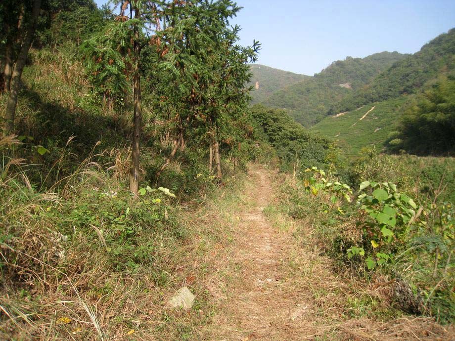竹馬嶺古道