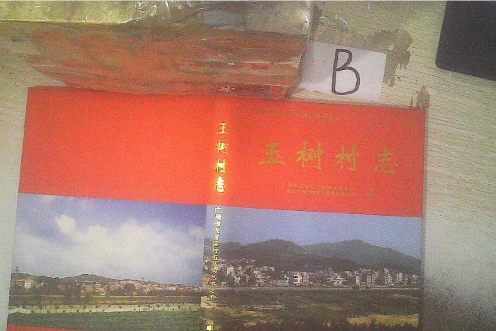 玉樹村志 玉樹村志