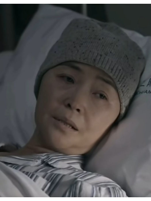楊燕子(電視劇《以美之名》中喬楊的母親) 楊燕子(電視劇《以美之名》中喬楊的母親)
