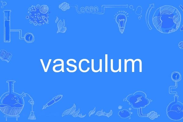 vasculum vasculum