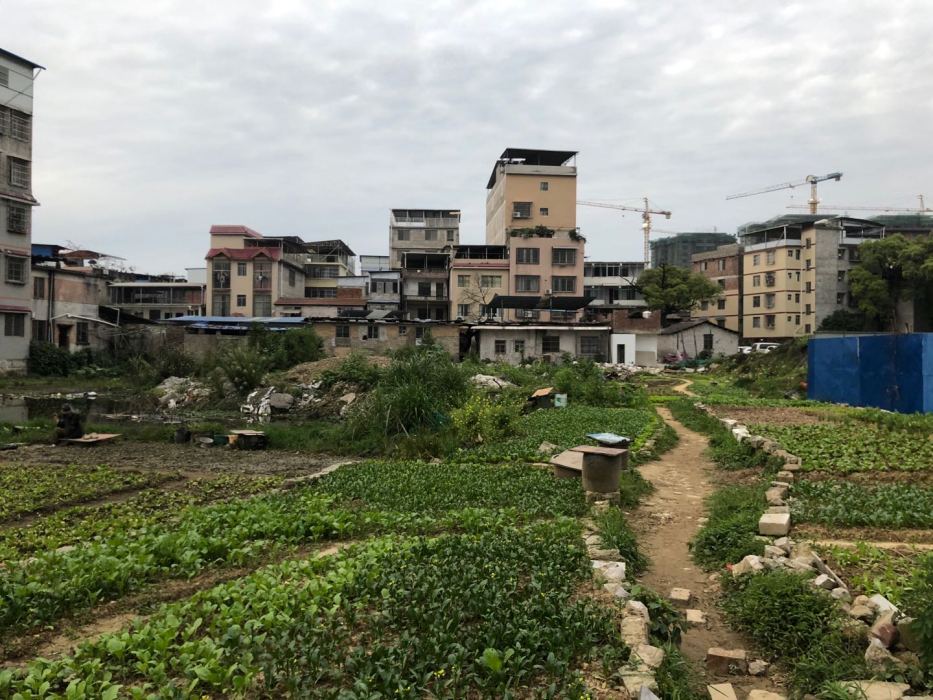 和平村(桂林市七星區穿山街道辦和平村委會) 和平村(桂林市七星區穿山街道辦和平村委會)