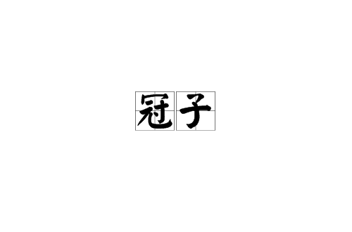 冠子(漢語詞語)