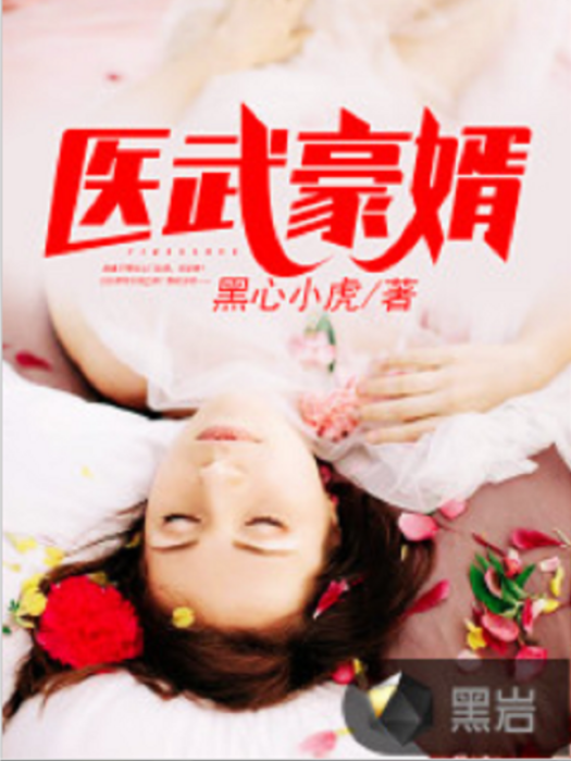 醫武豪婿 醫武豪婿