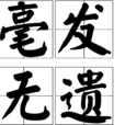 毫髮無遺 毫髮無遺