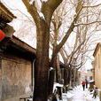 中老胡同 中老胡同