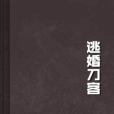 逃婚刀客 逃婚刀客