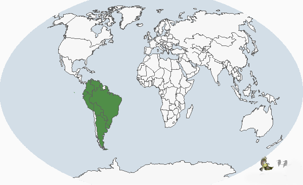巴西鳧分布圖