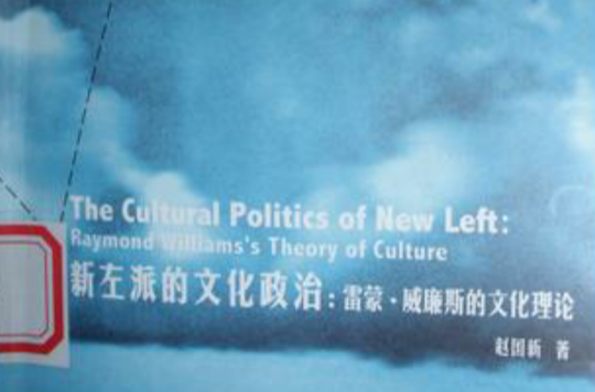新左派的文化政治
