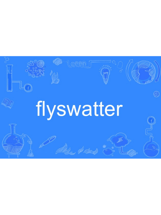 Flyswatter Flyswatter