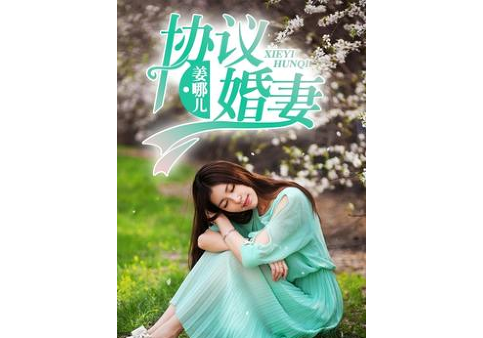 協定婚妻 協定婚妻
