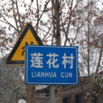 蓮花村(河南省洛陽市新安縣石井鄉蓮花村) 蓮花村(河南省洛陽市新安縣石井鄉蓮花村)