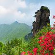 金剛颱風景區(金剛台)