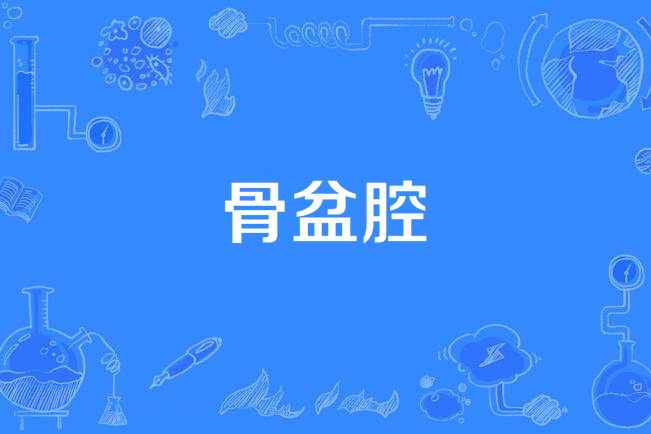 骨盆腔 骨盆腔