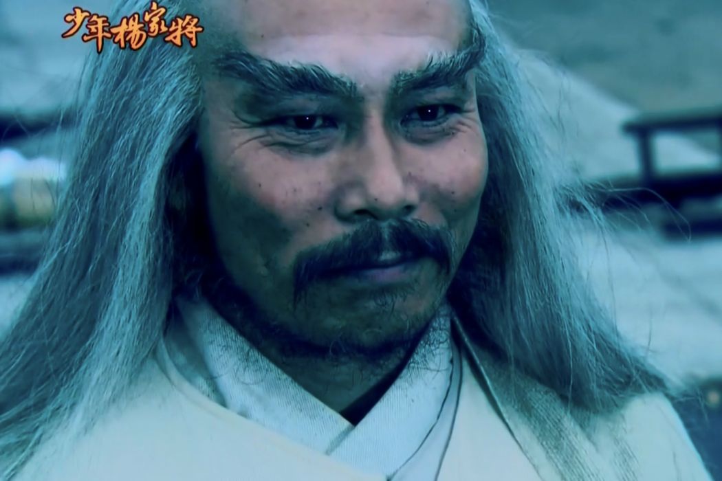 天靈(2006年電視劇《少年楊家將》中的角色) 天靈(2006年電視劇《少年楊家將》中的角色)