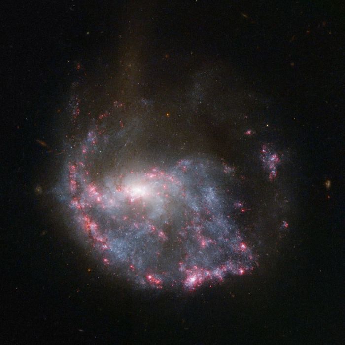 NGC 922 NGC 922