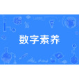 數字素養 數字素養