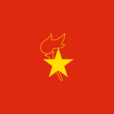 中國少年先鋒隊隊旗